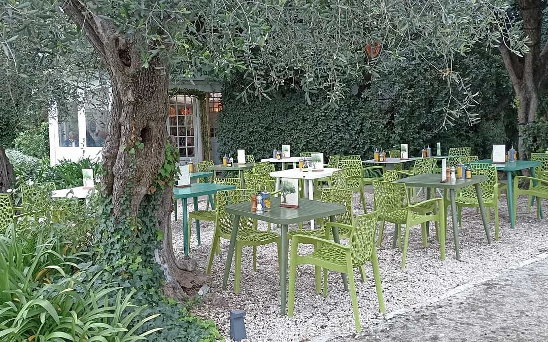 Muzej Marka Šagala u Nici – Svet boja i mašte